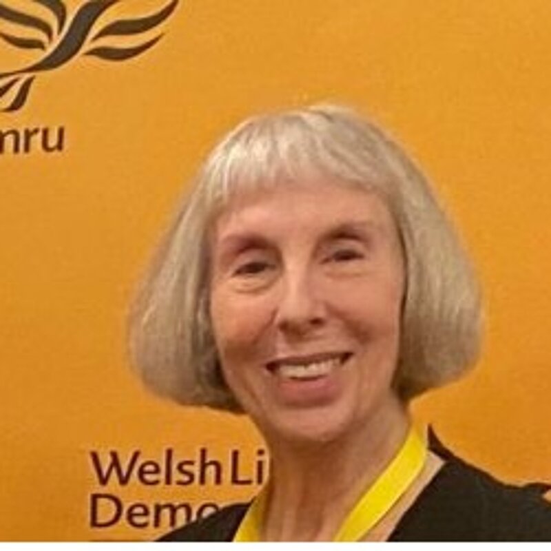 Councilor Lynne Wilkins